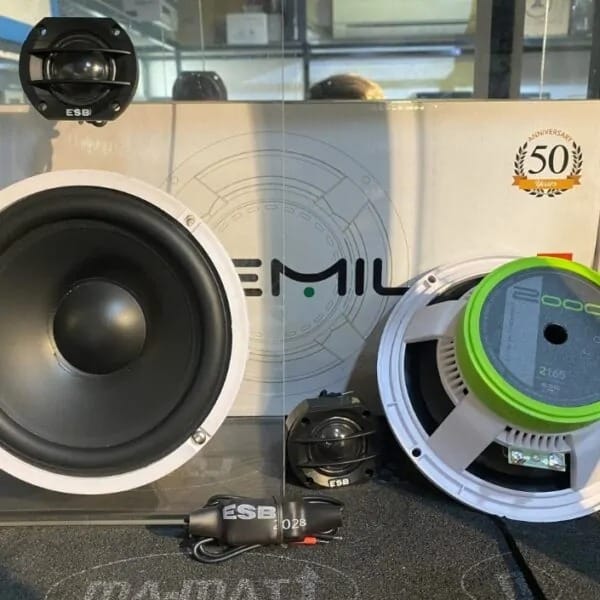 Loa cánh ESB Audio 2.6K2 - Ảnh 5